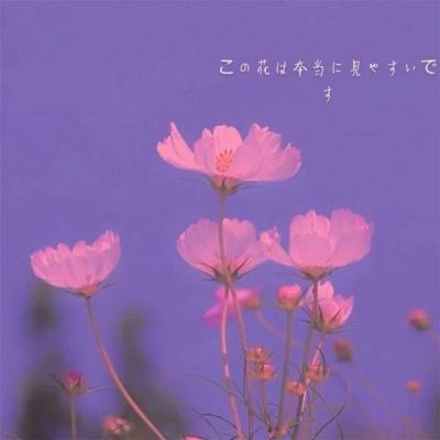 天龙3d益玩版本下载