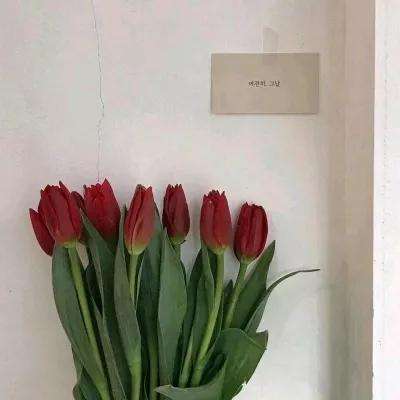 凡人修仙传红包版下载
